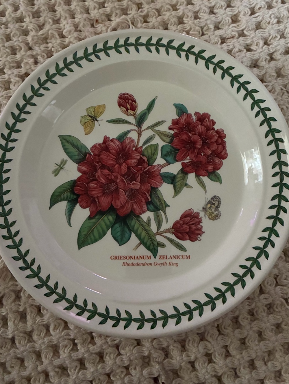 Portmeirion Botanic Garden Rhododendron Dinner Plate 10.5